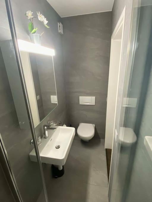 Beautiful Flat With Nice Lake And Mountain Views Weggis Eksteriør billede