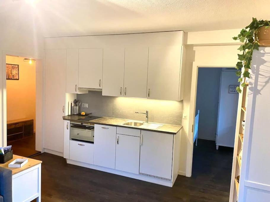 Beautiful Flat With Nice Lake And Mountain Views Weggis Eksteriør billede
