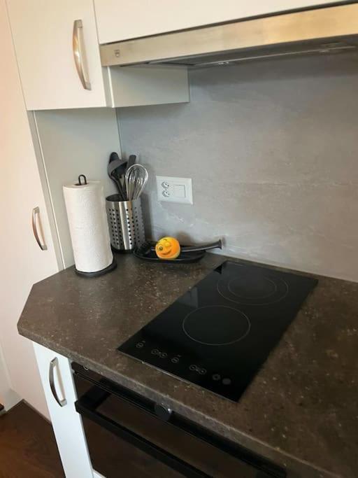 Beautiful Flat With Nice Lake And Mountain Views Weggis Eksteriør billede
