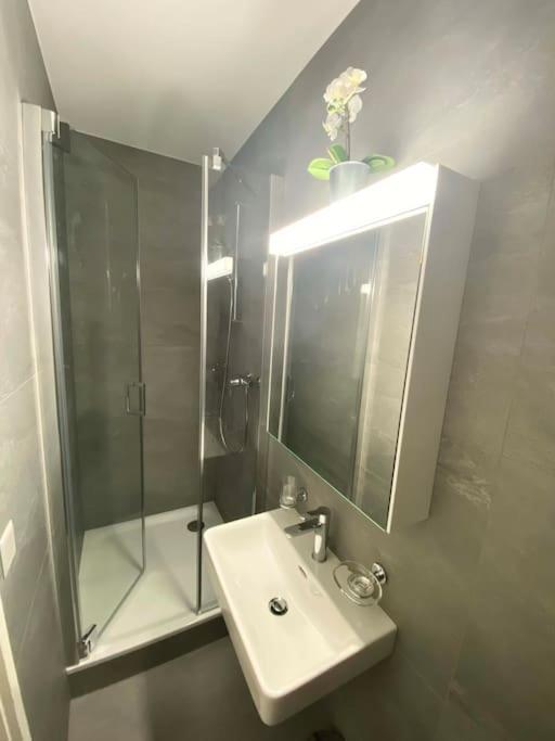 Beautiful Flat With Nice Lake And Mountain Views Weggis Eksteriør billede