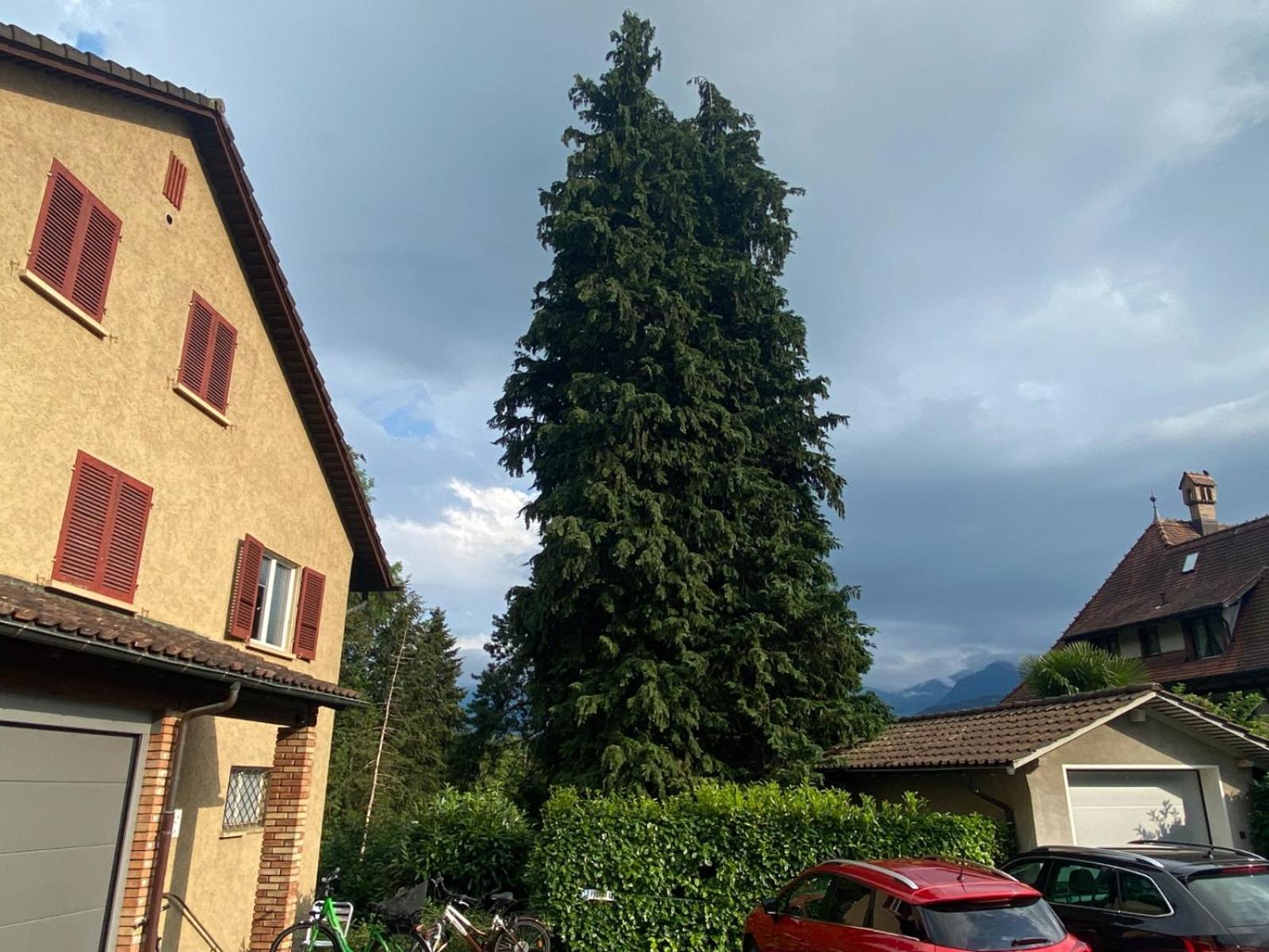 Beautiful Flat With Nice Lake And Mountain Views Weggis Eksteriør billede