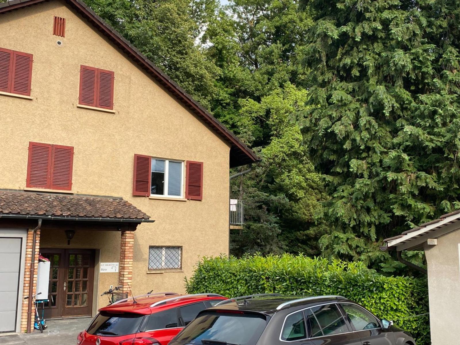 Beautiful Flat With Nice Lake And Mountain Views Weggis Eksteriør billede